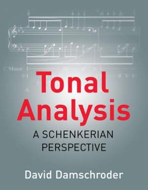 Tonal Analysis: A Schenkerian Perspective