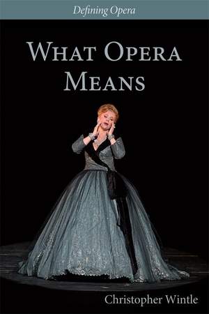 What Opera Means: Categories and Case-studies