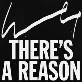 There's a Reason