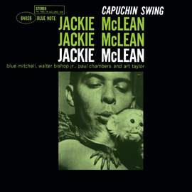 Capuchin Swing