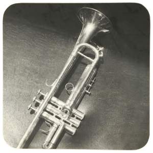 Trumpet Mugmats
