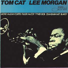 Tom Cat