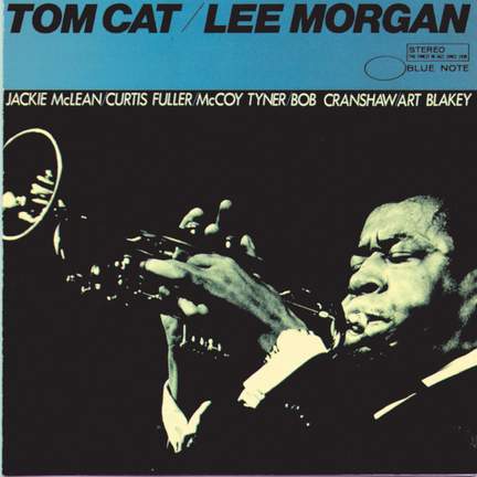 Tom Cat
