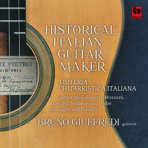 Historical Italian Guitar Maker Product Image