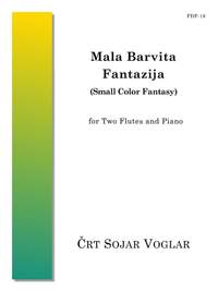 Crt Sojar Voglar: Mala Barvita Fantazija (Small Color Fantasy)