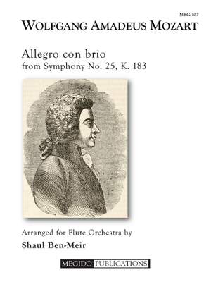 Wolfgang Amadeus Mozart: Allegro con brio from Symphony No. 25, K. 183