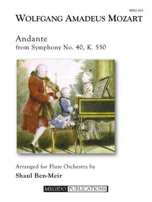 Wolfgang Amadeus Mozart: Andante from Symphony No. 40, K. 550