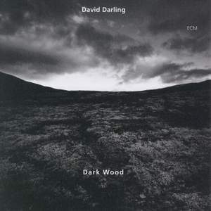 Dark Wood