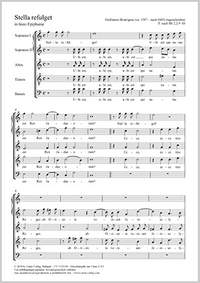 Bouzignac: Stella refulget