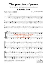 Ashley Grote: The promise of peace