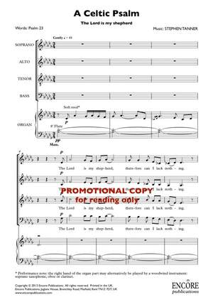 Stephen Tanner: A Celtic psalm