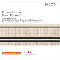 Erhard Grosskopf: Plejaden, Op. 56 & KlangWerk 11, Op. 64 (Live)