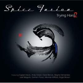Trying Hard 2 - Vinyl Edition