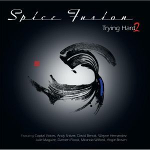 Trying Hard 2 - Vinyl Edition