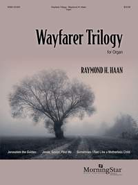 Raymond H. Haan: Wayfarer Trilogy