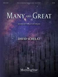 David Schelat: Many and Great