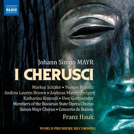 Mayr: I Cherusci