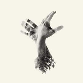 The Nothing