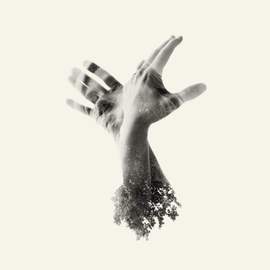 The Nothing