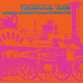 Psychedelic Train (expanded Edition)