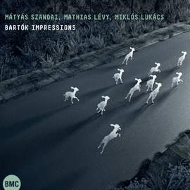 Bartok Impressions