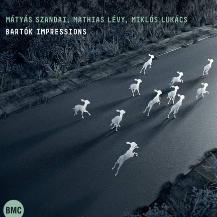 Bartok Impressions