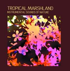 Tropical Marshland