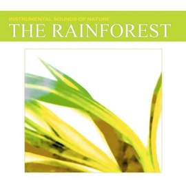 The Rainforest