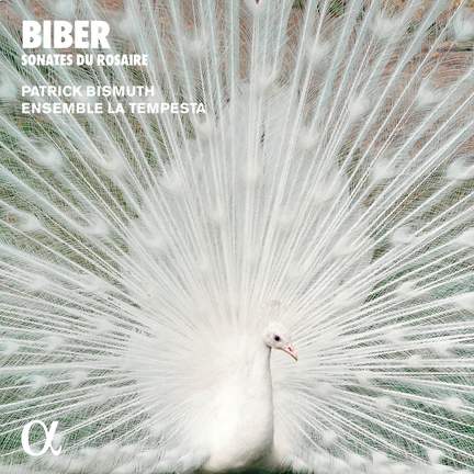 Biber: Sonates du Rosaire