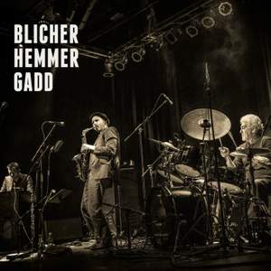 Blicher Hemmer Gadd