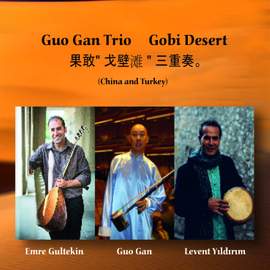 Gobi Desert