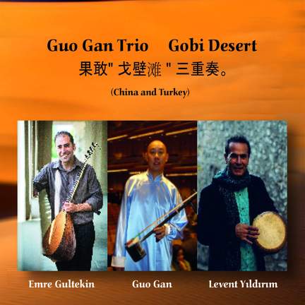 Gobi Desert