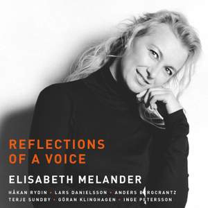 Reflections of a Voice