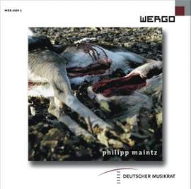 Maintz:fluchtlinie