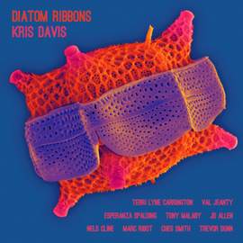 Diatom Ribbons