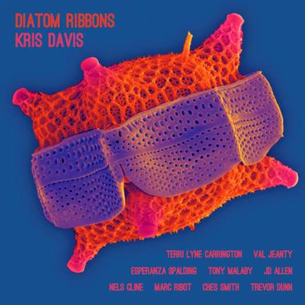 Diatom Ribbons