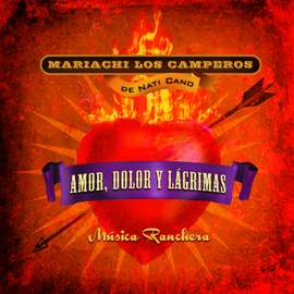 Amor Dolor Y Lagrimas Musica