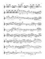 Raff, Joachim: String Quartet No. 1 in D minor op. 77 Product Image