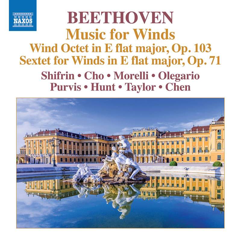 Beethoven: Works for Flute, Vol. 1 - Naxos: 8573569 - CD or