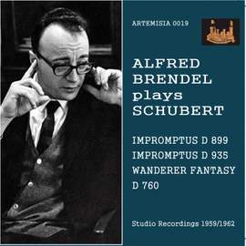 Schubert: Impromptus & Wandererfantasie