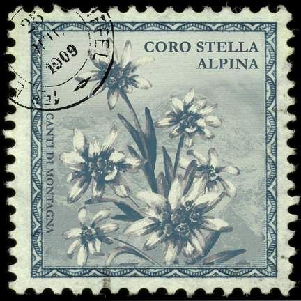 Canti Di Montagna