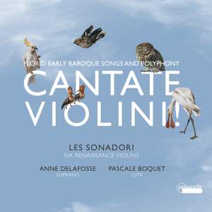 Cantate Violini - Florid Early Baroque Songs and Polyphony