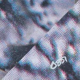 Obsi