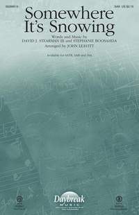 Stephanie Boosahda_David J. Stearman III: Somewhere It's Snowing
