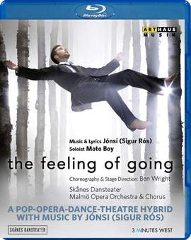 The Feeling of Going