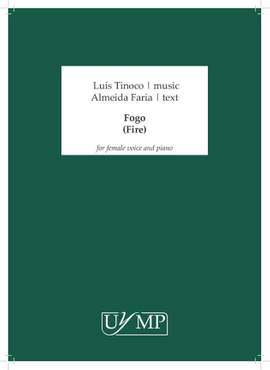Luís Tinoco: Fogo