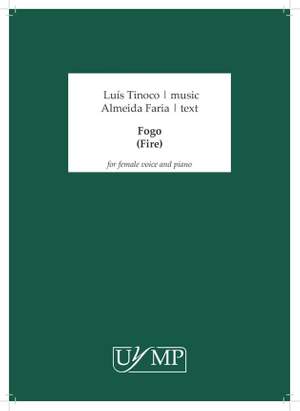 Luís Tinoco: Fogo