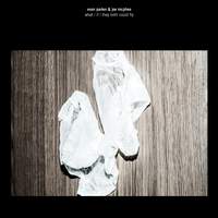 What / If / They Both Could Fly