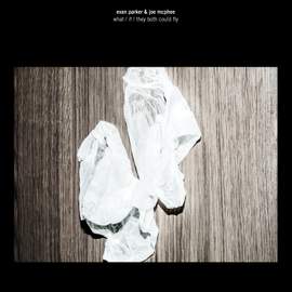 What / If / They Both Could Fly