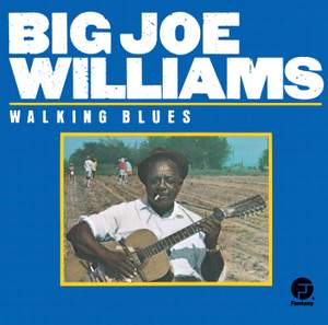 Big Joe Williams/_walking Blues